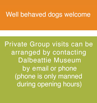 Groups and Dogs